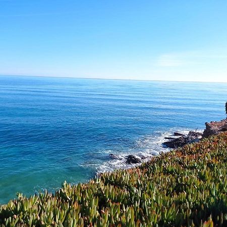 Apartamento Junto Al Mar Les Cases d'Alcanar Dış mekan fotoğraf